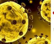 علائم ویروس کرونا - راه پیش گیری از کرونا ویروس - آزمایشگاه دی تبریز